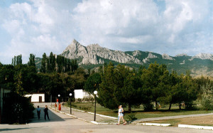 05_surukaya 05_surukaya