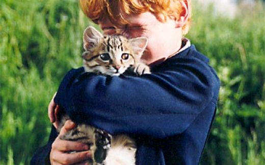 мальчик с котом