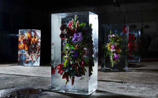 цветы в глыбах льда