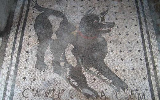 Римская мозаика с изображением черного пса на цепи и надписью «Cave Canem», что в переводе с латыни означает «Бойся собаки»