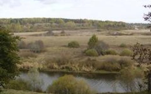 пейзаж: река, поле, лес