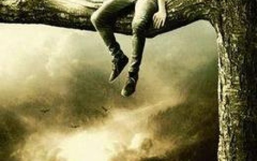 мальчик сидит на дереве