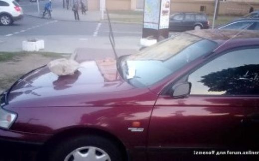 В Минске автохаму положили булыжник на капот
