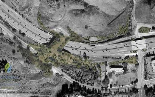 специальный мост для животных