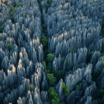 Каменный лес на острове Мадагаскар