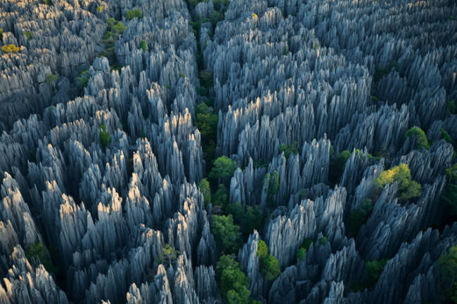 Каменный лес на острове Мадагаскар