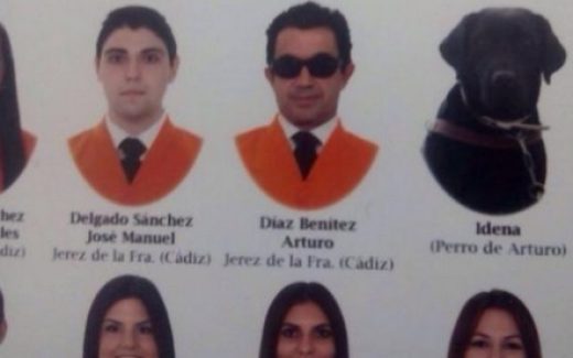 собака - выпускник университета