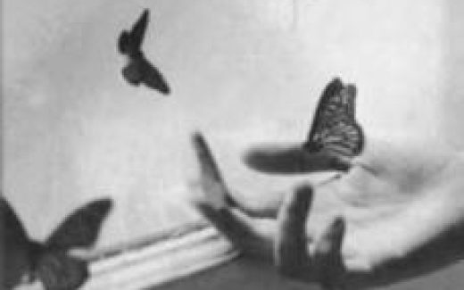 ладонь и бабочки