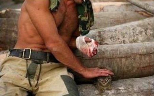 боец, раненый в руку гладит кота