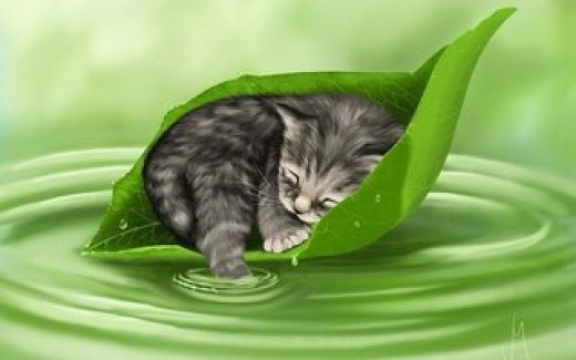 котенок спрятался и уснул на листке дерева