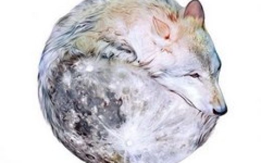 зверь свернулся клубком