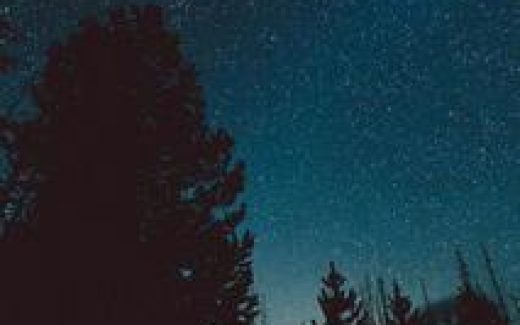 ночь, лес, костер