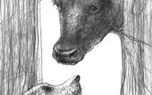 корова и собака