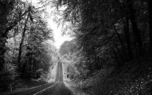 зимний пейзаж с дорогой