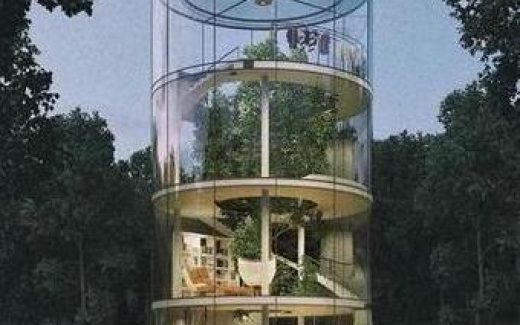 дом-цилиндр с живым деревом внутри