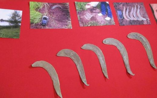 бронзовые серпы