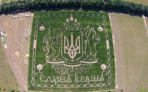 лабиринт из кукурузы под Киевом