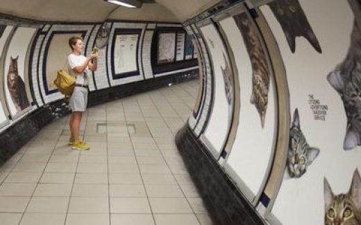 кошки в лондонском метро