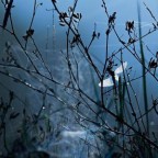 Евгений Боярчук