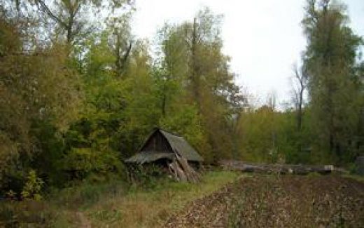 домик в лесу