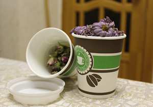 Цветы в стаканчике