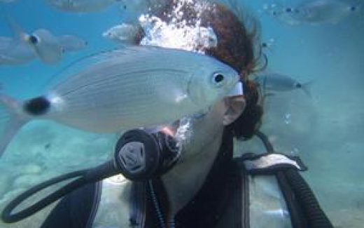 аквалангист в море с рыбами