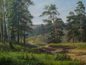 Сосны облака дорога