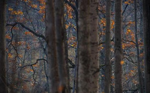 Фото Сергея Малюка