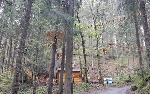 Эко-тропа над кронами. Синевир