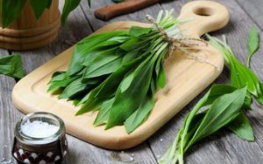 черемша - медвежий лук