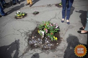посадили цветы в ямы на тротуаре