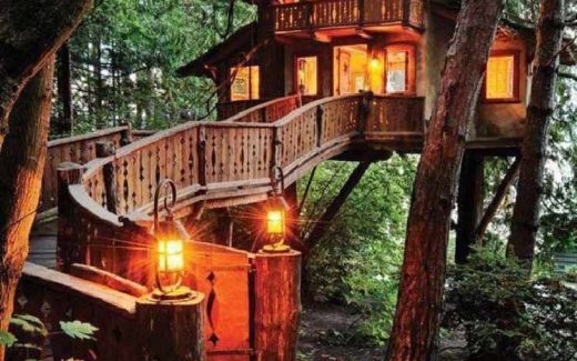 домик в лесу