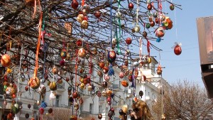 85988878_large_3514238_DSC03254