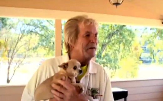 73 - летний Карл Мур дал медведю в морду, защищая своих собак