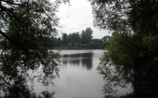 природа, озеро, деревья