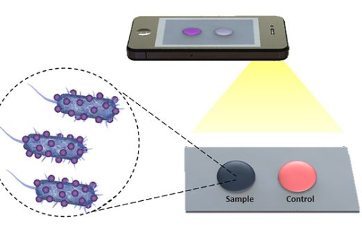 диагностика заболеваний через смартфон
