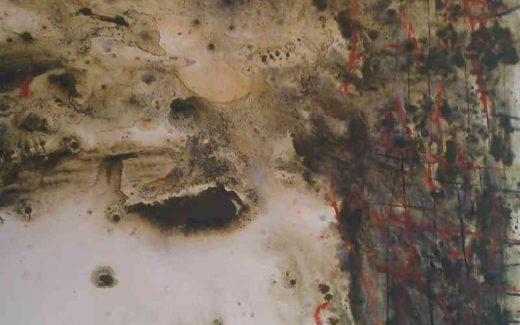 Львовские стены