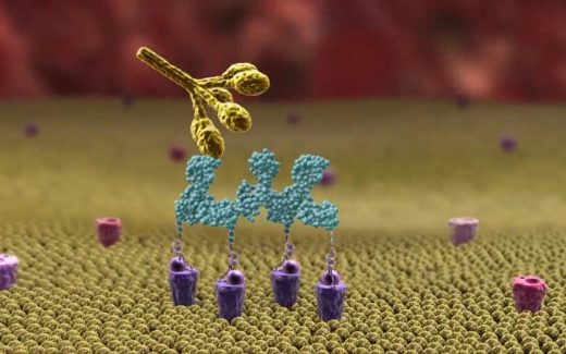 антибиотик