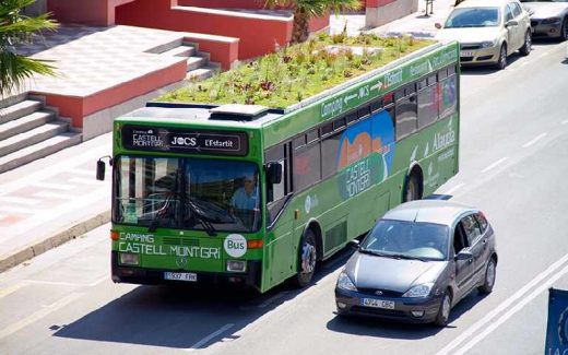 автобус мини-садом (клумбой) на крыше