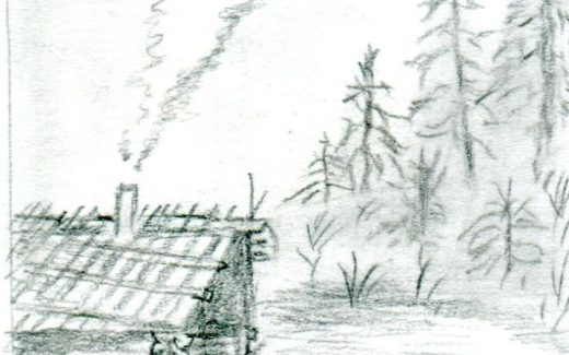 домик в лесу