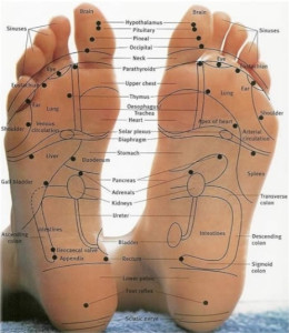 reflexology-foot-chart-10