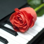 рояль, клавиши, роза
