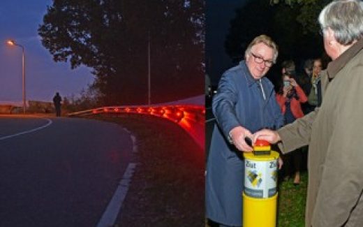 Голландские инженеры осветили участок автодороги при помощи энергии растений