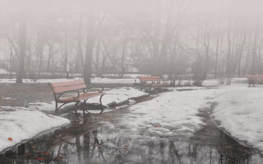 зимний парк без снега, туман