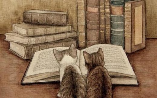 Котята перед книгой