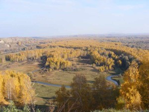 природа с высоты птичьего полета