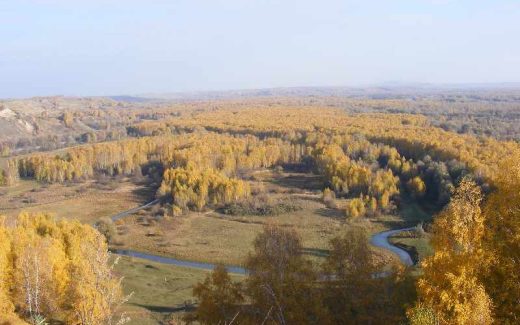 природа с высоты птичьего полета