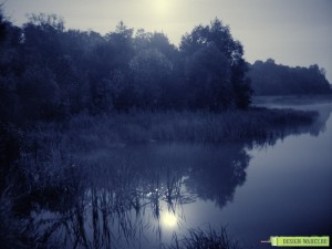 Месяц над прудом