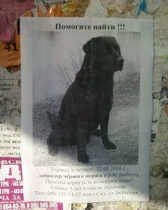 Фото-0050 Фото-0050