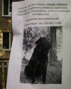 Фото-0053 Фото-0053